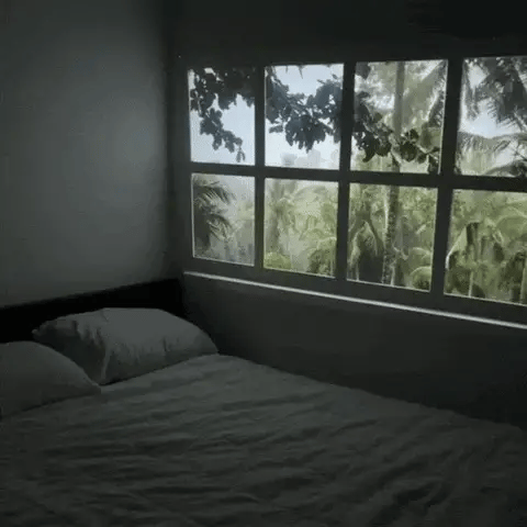 CINÉRA - FILM PROJEKTORN